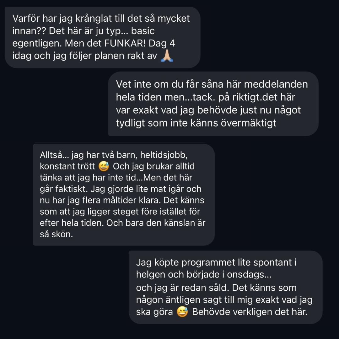 HÄLSOSAM VIKTNEDGÅNG — 28 DAGAR