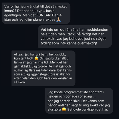 HÄLSOSAM VIKTNEDGÅNG — 28 DAGAR