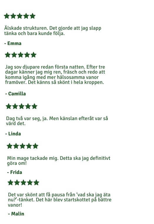 DETOX - 3 dagars juicefasta