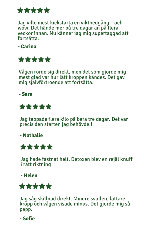 DETOX - 3 dagars juicefasta