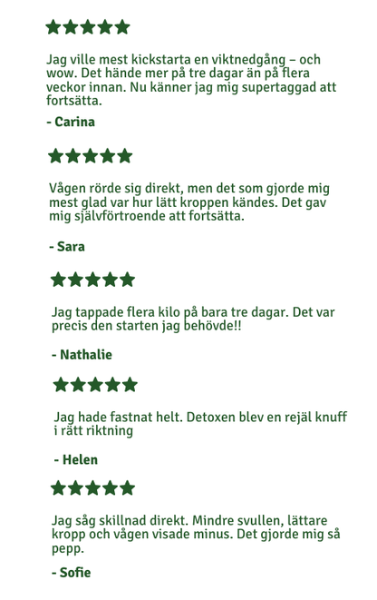 DETOX - 3 dagars juicefasta