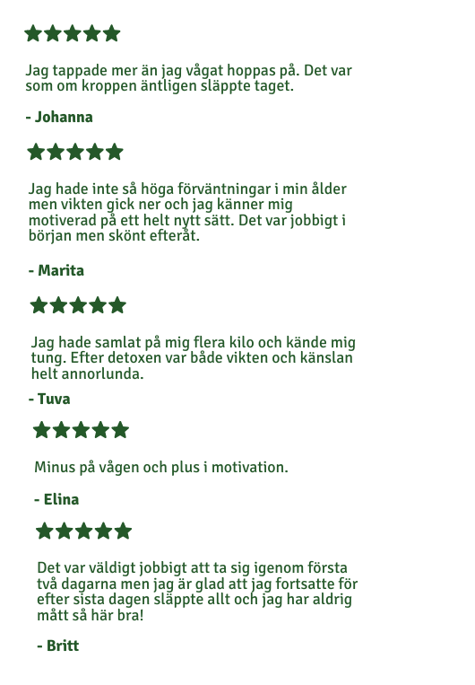 DETOX - 3 dagars juicefasta